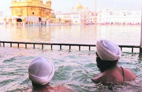 Devotees take a holy dip on the martyrdom day of Guru Teg Bahadur at the Golden Temple in Amritsar on Saturday