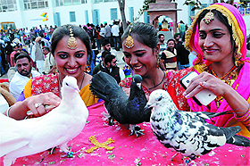Girls admire pigeons outside the house of Zaildar that came up in the heritage village of Jaipalgarh where Virasat Mela is being held, in Bathinda on Saturday.