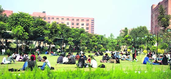 Enjoying some sunny moments: With mercury dipping, students of an university bask in the sun in Jalandhar