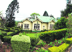 Different kinds of tea in Dambatenee Tea Factory established by Sir Thomas Lipton in 1890
