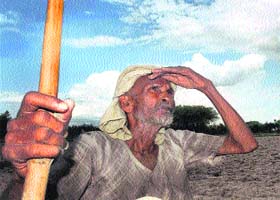 An old farmer looks at the sky awaiting rain