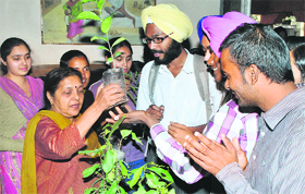 A teacher distributes plants to students at a seminar on Environmental Degradation and Occurence of Cancer in Government Mohindra College in Patiala on Monday.