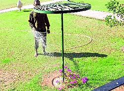 A gardner waters a plant in the other half