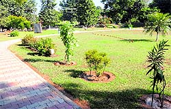 The well-maintained other half of the park, maintained by owners of a fast food chain