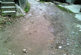 A broken road in Palampur. Photos by writer