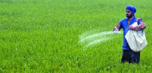 The government gives subsidy on chemical fertilisers and organic farmers want the subsidy to be extended to them as well.
