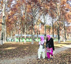 Girls walking along a road lined with chinar trees on the University of Kashmir campus in Srinagar