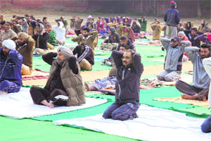 Police officials, including Commissioner of Police Ram Singh, participate in a yoga camp at the Police Lines in Amritsar on Thursday. 