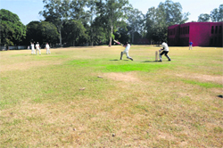 The cricket ground at GMSSS-35, Chandigarh, is in need of proper upkeep. 
