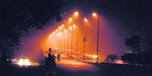 Tribune lensman Sarabjit Singh captures a misty flyover lit with golden lights in Jalandhar on Thursday evening.