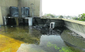 Stagnant water near the water tanks on the top floor of the MC Zone D office in Sarabha Nagar, Ludhiana. 