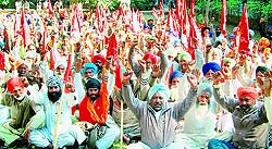 Farmers stage a protest outside the Deputy Commissioner office in Amritsar on Friday