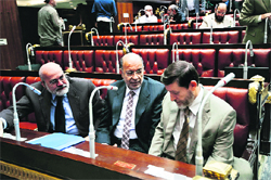 Members of Egypts constituent assembly at the Shoura Assembly on Thursday in Cairo.  AFP