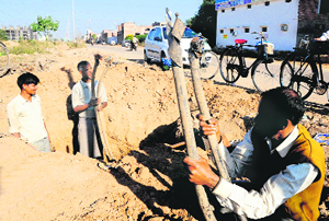 BSNL employees show damaged cables which were cut during widening of the road at Industrial Area, Phase IX, in Mohali on Saturday.