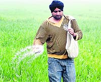 fertiliser