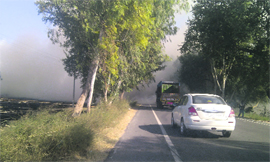 A view of paddy fields set on fire on NH-10 in Sirsa on Friday. 