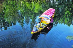 The colourful shikara stands out against the azure waters of Dal Lake