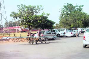The photograph shows a cycle-rickshaw carrying GI pipes, without any warning sign, and endangering lives of others on the road