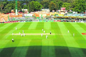 For cricket aficionados, Adelaide has a great attraction in the form of the pretty Oval cricket ground which offers guided tours