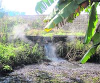 Waste water being discharged in the open by the sugar mill in violation of norms in Mukerain. 