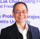 Asian dream: Cheng Lok Chua.