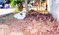 Cow dung cakes lying on the premises of Ranjit Avenue Satellite Hospital in Amritsar