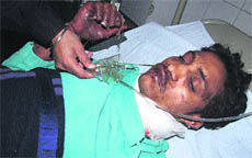 Injured Guddu under treatment at Civil Hospital in Jalandhar on Tuesday. 