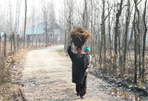 A woman holds her child as she carries manure in Srinagar on Tuesday. Tribune Photo: Yawar Kabli