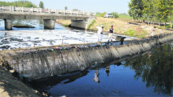 Two workers remove solid waste from Budha Nullah near Jainpur village in Ludhiana on Tuesday. Photo: Inderjeet Verma
