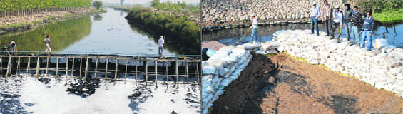 (Left) Solid waste segregation point on the Budha Nullah and (right)V-shaped green bridge where microbes will be dropped