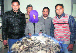 STF officials with the seized snow leopards skin and the accused in Dehradun on Wednesday. Tribune photo: Vinod Pundir