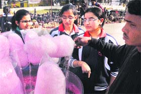 Wonder years: Students purchase sugar candy from a stall during an exhibition-cum-sale at Kala Kendra in Jammu on Wednesday