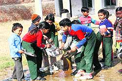 Students of Government Primary School at Sisana village of Sonepat district wash their utensils after mid-day meals on Thursday