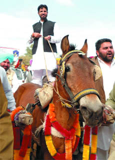 Gidderbaha MLA Amrinder Singh Raja Warring rides a donkey cart at Doda village in Muktsar district as a mark of protest against the state government on Friday. 
