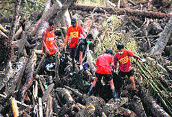 Rescue workers carry bodies of victims of Typhoon Bopha retrieved from amongst the debris of logs in New Bataan, Compostela Valley province, on Friday. 