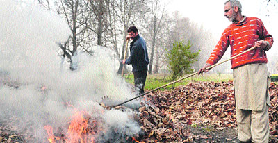 Locals burn chinar leaves at a park in Srinagar. 