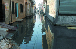 Sewage has entered residential colonies due to blockage in the disposal channel. Photo: Raj Sadosh