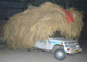 A jeep overloaded with crop residue that was impounded for flouting of traffic rules in Fazilka. 