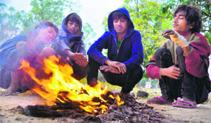 People warm themselves around a bonfire in Haridwar on Tuesday. 