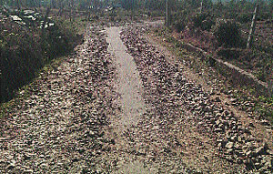 A stretch of the Dharman-Kandwari road in Palampur subdivision. 