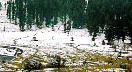 A view of the Betaab valley, 115 km from Srinagar on Tuesday.