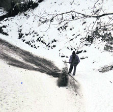 A PWD worker clears a snow-covered road at Kufri near Shimla on Wednesday.