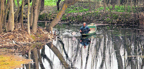 A boatman rows a boat in the interior area of the Dal Lake in Srinagar.