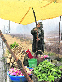 A roadside vegetable seller sets a polythene cover over her vegetables during rain on the banks of the Dal Lake in Srinagar on Tuesday.