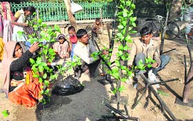 Family tree: A family of workers prepares decorative items on the roadside in Patiala on Wednesday