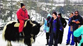 Tourists enjoy after snowfall near Nehru Kund on Saturday.