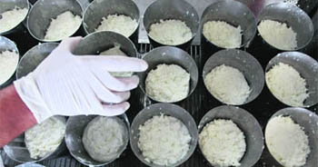 A worker checks containers of donkey cheese at the farm in Zasavica Resort