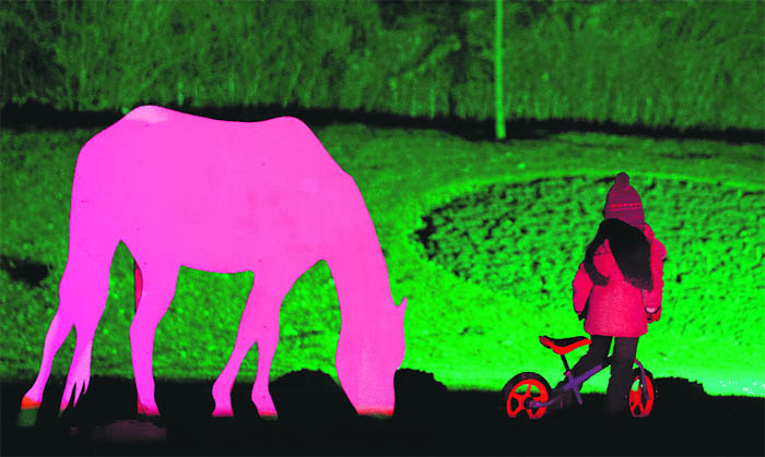 A girl stands next to a wooden horse that is illuminated with coloured light in Dortmund, western Germany.
