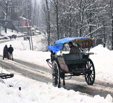 A horsecart moves on a snow-covered road in Anantnag, 54 km from Srinagar, on Sunday. 