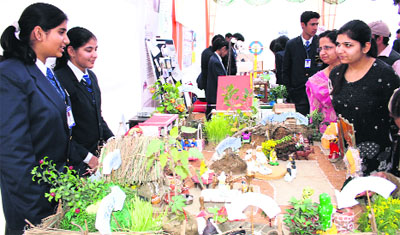 People watch a science, art and craft exhibition held at Model School, Rohtak, during its annual function on Monday.